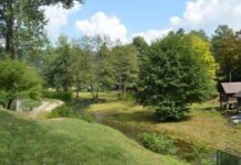 A Simple and Careful Diet