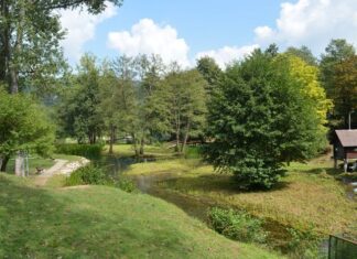 A Simple and Careful Diet