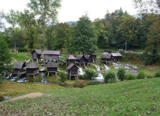 The Letters to the Churches of Asia